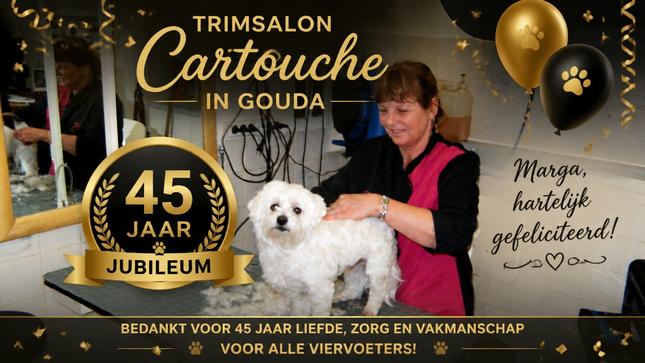 45 jaar